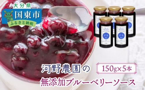 河野農園の無添加ブルーベリーソース150g×5本_1450R 176352 - 大分県国東市