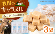 キャラメル 飴 お菓子 3袋セット【よこすか関口牧場】 [AKGN011]