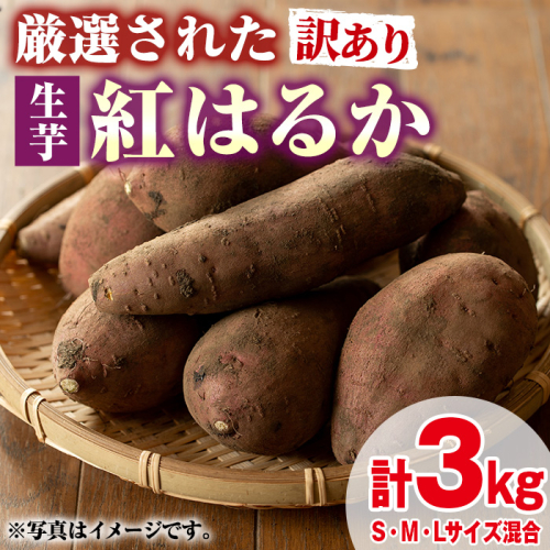 【0095921a】＜訳あり＞物産館おすすめ！厳選された紅はるか(生芋・計3kg) 生芋 焼芋 焼き芋 やきいも さつまいも さつま芋 スイーツ 期間限定 【東串良物産館ルピノンの里】 1769479 - 鹿児島県東串良町