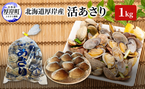 北海道 厚岸産 活あさり 1kg アサリ 貝 魚貝 海鮮 水産物 1769772 - 北海道厚岸町