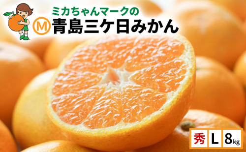 ミカちゃんマークの「マルエム青島三ケ日みかん」秀L8kg(約60個～65個) みかん ミカン フルーツ 果物 浜松市 静岡 1769869 - 静岡県浜松市