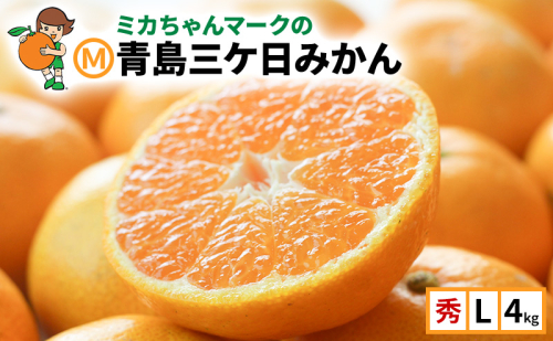 ミカちゃんマークの「マルエム青島三ケ日みかん」秀L4kg(約29個～32個) みかん ミカン フルーツ 果物 浜松市 静岡 1769870 - 静岡県浜松市