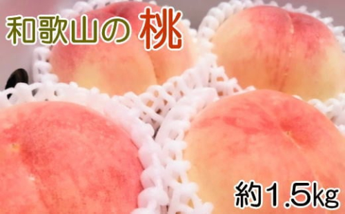 【産直・人気の特産品】和歌山の桃　約1.5kg  ※2025年6月下旬～2025年8月上旬頃に順次発送【tec946A】 1769871 - 和歌山県北山村