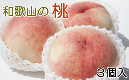 【産直・人気の特産品】和歌山の桃　3玉入り  ※2025年6月下旬～2025年8月上旬頃に順次発送【tec947A】 1769873 - 和歌山県北山村