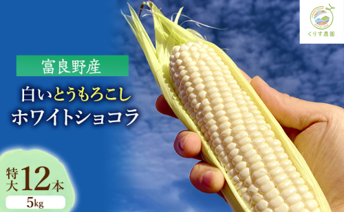 【2025年9月より順次発送】北海道富良野産白い"とうもろこし"「ホワイトショコラ」　特大12本（約5kg） 1770041 - 北海道富良野市