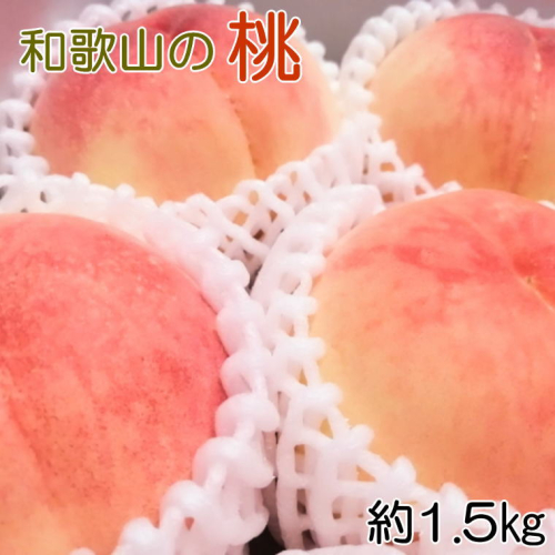 【産直・人気の特産品】和歌山の桃　約1.5kg  ※2025年6月下旬～2025年8月上旬頃に順次発送【tec946A】 1770043 - 和歌山県新宮市