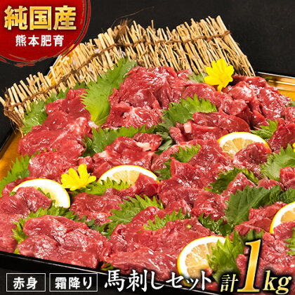 馬刺し1kg 赤身馬刺し900g＋霜降り馬刺し100g【純国産熊本肥育】 たっぷりタレ(5ml×10袋) 付き 桜肉 生食 冷凍《7-14日以内に出荷予定(土日祝除く)》送料無料 訳あり 1770240 - 熊本県南阿蘇村