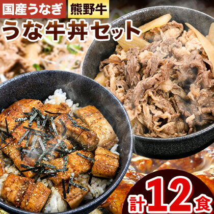 牛丼 熊野牛 国産うなぎ うな牛丼セットB 計12食 各6食 株式会社Meat Factory《30日以内に出荷予定(土日祝除く)》和歌山県 日高川町 牛肉 肉 牛丼 国産 うなぎ うな牛 送料無料 1770496 - 和歌山県日高川町