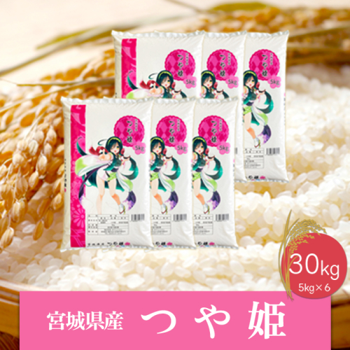 (06455)《精米》令和6年産 宮城県産つや姫30kg 1770514 - 宮城県大崎市