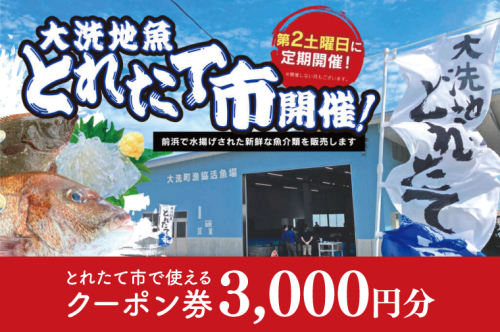 大洗地魚とれたて市クーポン券 3,000円分 (1,000円分×3) 地魚 鮮魚 活魚 朝獲れ 魚介類 漁協 大洗産 大洗 チケット 1770524 - 茨城県大洗町