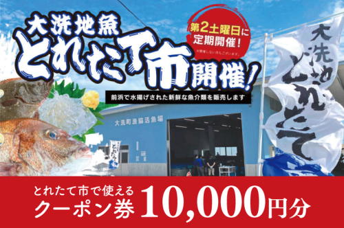 大洗地魚とれたて市クーポン券 10,000円分 (1,000円分×10) 地魚 鮮魚 活魚 朝獲れ 魚介類 漁協 大洗産 大洗 チケット 1770527 - 茨城県大洗町