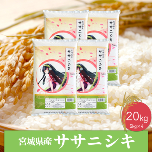 (06458)《精米》令和6年産 宮城県産ササニシキ20kg 1770529 - 宮城県大崎市