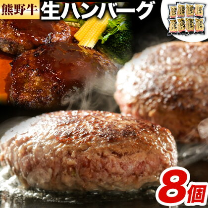 牛肉 熊野牛 生ハンバーグ 8個入り 株式会社Meat Factory《30日以内に出荷予定(土日祝除く)》和歌山県 日高川町 熊野牛 黒毛和牛 ハンバーグ 惣菜 生 送料無料 1770704 - 和歌山県日高川町