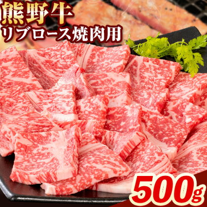 牛肉 熊野牛 リブロース 焼肉 用 500g 株式会社Meat Factory《30日以内に出荷予定(土日祝除く)》和歌山県 日高川町 送料無料 国産 牛肉 肉 黒毛和牛 リブ ロース 焼肉用 焼き肉 お取り寄せグルメ 1770716 - 和歌山県日高川町