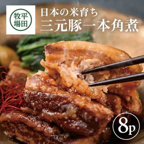 SE0338　【平田牧場】 三元豚 一本角煮 180g×8パック 1774871 - 山形県酒田市