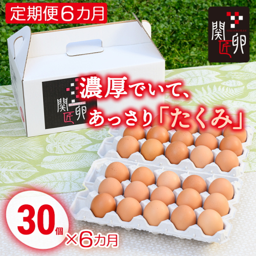 【定期便6か月】関匠卵 たくみ 30個×6か月｜卵 30個 赤玉 玉子 たまご 生卵 鶏卵 産みたて 新鮮 濃厚 健康 TKG たまごかけごはん ご飯のお供 国産 ギフト 贈答 贈り物 お中元 お歳暮 プレゼント 茨城県 古河市 農家直送 _CP09 ※北海道・沖縄・離島への配送不可 1775497 - 茨城県古河市