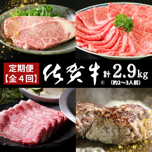 【定期便4回】佐賀牛セット 2.9kg（約2～3人前）：B985-003 1775616 - 佐賀県佐賀市