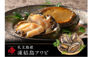 北海道 礼文産 産地直送 鮮度抜群 天然 凍結 あわび 500g [ 魚介類 アワビ 鮑 ]