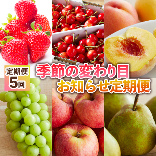 【定期便5回】季節の変わり目お知らせ定期便 FY24-512 1778884 - 山形県山形市