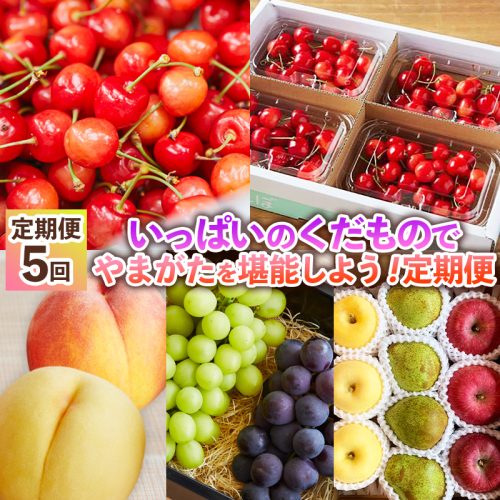 【定期便5回】いっぱいのくだもので山形を堪能しよう！定期便 FY24-513  1778916 - 山形県山形市