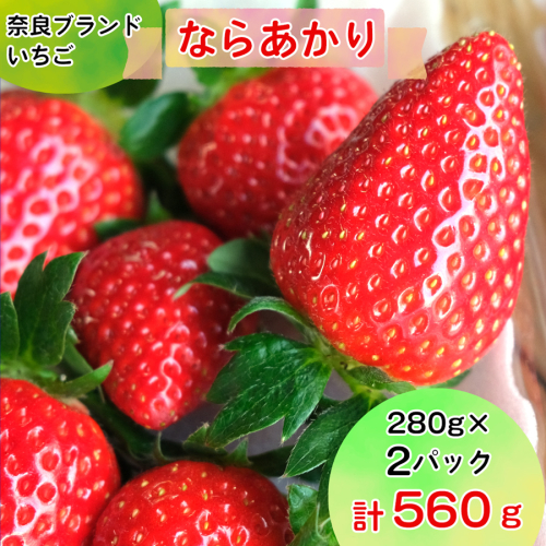 奈良県産ブランドいちご『ならあかり』約560g×1箱(2パック)｜いちご イチゴ スイーツ フルーツ 果物 奈良県 香芝市 [2823] 1778946 - 奈良県香芝市