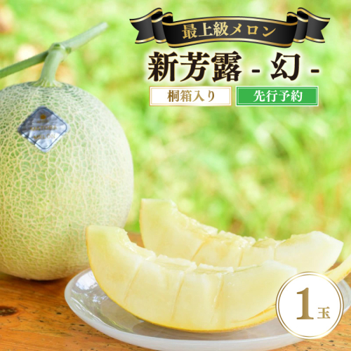 【先行予約】 年間生産量200玉の最上級メロン「新芳露-幻-」（2026年7月下旬～発送）
 1778951 - 京都府京丹後市