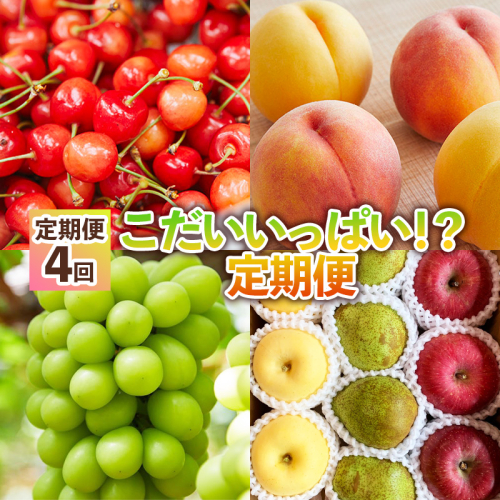 【定期便4回】こだいいっぱい！？ 定期便 【令和8年産先行予約】FS25-652 1779269 - 山形県山形市