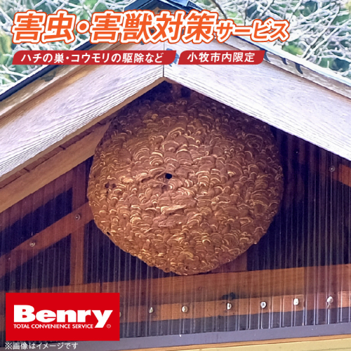 害虫、害獣対策サービス［067S13］ 1780140 - 愛知県小牧市