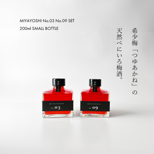 969.MIYAYOSHI No.03・09 2P SET SMALL BOTTLE（A969-2） 1784746 - 和歌山県有田市