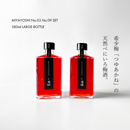 970.MIYAYOSHI No.03・09 2P SET LARGE BOTTLE（A970-2） 1784748 - 和歌山県有田市