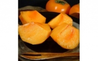 V6095_和歌山の種なし柿 約7.5kg秀品【サイズ・品種おまかせ】