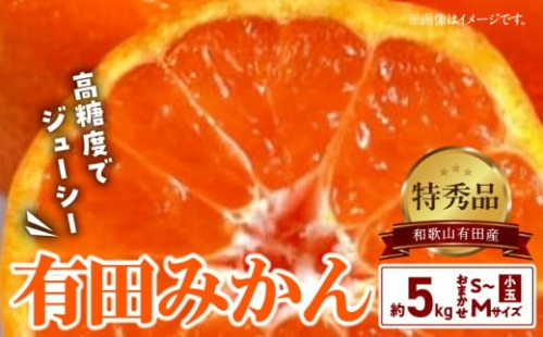 BD6035n_【２０２５年先行予約】高糖度 有田みかん 特秀品 5kg 小玉 (S～Mサイズおまかせ) 178627 - 和歌山県湯浅町