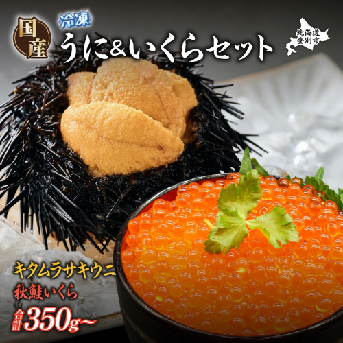 登別近海産 冷凍 キタムラサキウニ 100g 北海道産天然秋鮭 冷凍いくら250g セット【6月以降順次配送】 1787402 - 北海道登別市