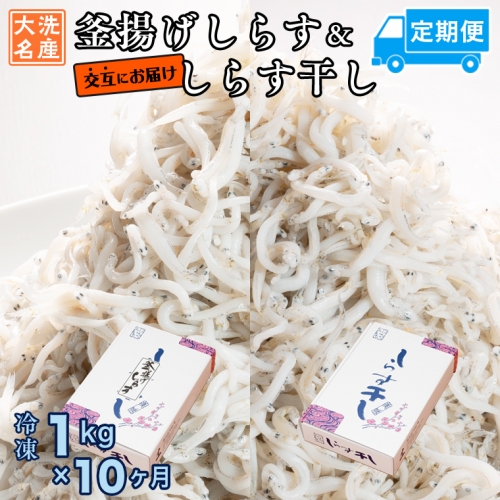 釜揚げしらす しらす干し 交互 定期便 (1kg×10か月) 天然 ふっくら 大洗 名産 しらす シラス 魚 さかな 魚介 離乳食 178926 - 茨城県大洗町