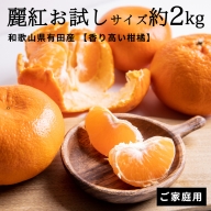 CE6106_和歌山県有田産 【香り高い柑橘】 麗紅お試しサイズ 約2kg (訳あり ・家庭用)