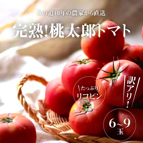 訳あり この道40年の農家から直送 完熟！桃太郎トマト6～9玉　H139-019 179040 - 愛知県碧南市