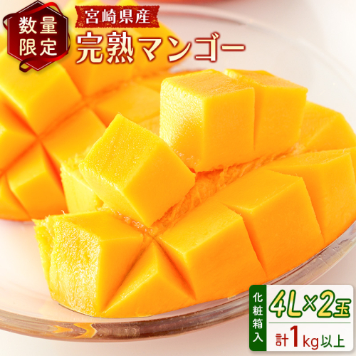 ＜数量限定＞宮崎県産 完熟マンゴー4L×2玉（計1kg以上）※2026年4月下旬配送開始 化粧箱入 フルーツ くだもの【C357-26】 179041 - 宮崎県新富町