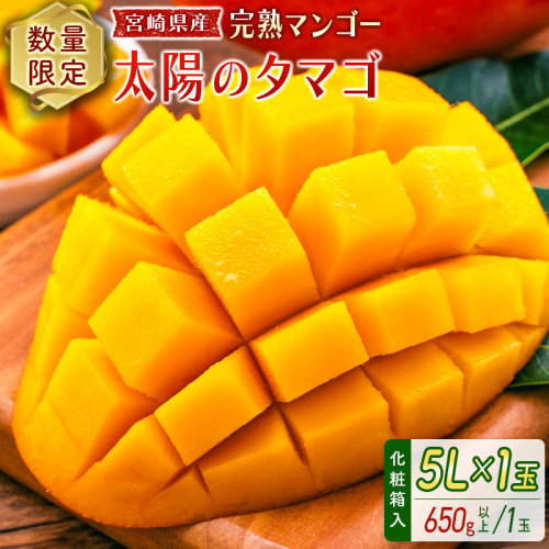 数量限定 宮崎県産 完熟マンゴー＜太陽のタマゴ＞5L×1玉（650g以上）※2026年4月下旬配送開始 化粧箱入 フルーツ くだもの【D114-26】 179048 - 宮崎県新富町
