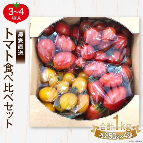 新鮮 採れたて トマト 食べ比べセット 1kg（250g×4袋）/ マルヨシ園芸 / 山梨県 中央市【2026年1月上旬-5月下旬発送予定】 179095 - 山梨県中央市