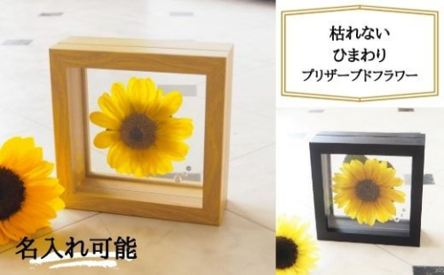 名入れ可 プリザーブドフラワー 向日葵 ひまわり フラワーギフト / なないろ / 山梨県 中央市 179195 - 山梨県中央市