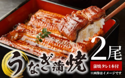 BC6006_うなぎ蒲焼 2本 角長特製蒲焼タレ 1本 セット 国産 安全 ふっくら うなぎ こだわり 蒲焼き 蒲焼 タレ うな丼 うな重 ひつまぶし う巻き うなむすび 土用 丑の日 水産加工品 魚介 海鮮 海産物 冷凍 和歌山県 湯浅町 お取り寄せ お取り寄せグルメ 送料無料 179264 - 和歌山県湯浅町