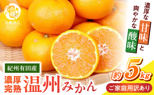 G7347_【2026年11月下旬頃より発送】紀州 有田産 濃厚甘熟 温州みかん 5kg【家庭用 訳あり】 179292 - 和歌山県湯浅町