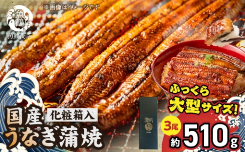 G7311_大型サイズ ふっくら柔らか 国産うなぎ 蒲焼き 3尾 (約6人前) 化粧箱入 179459 - 和歌山県湯浅町