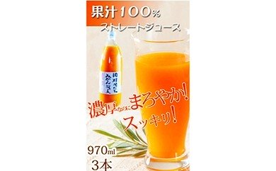 G7029_果汁100％田村そだちみかんジュース 970ml×3本 179461 - 和歌山県湯浅町