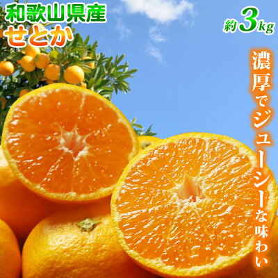 G7059_【先行予約】とろける食感！ジューシー柑橘 せとか 3kg 179467 - 和歌山県湯浅町