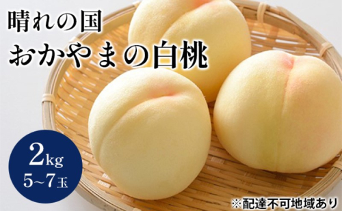 桃 【2025年 先行予約】 晴れの国 おかやま の 白桃 2kg(5～7玉) もも モモ 岡山県産 国産 フルーツ 果物 ギフト 1795098 - 岡山県高梁市