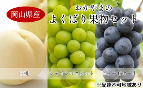 桃 ぶどう 【2025年 先行予約】 よくばり 果物 セット 岡山 白桃 2玉 合計600g以上 シャインマスカット 2房 合計1.2kg以上 ニュー ピオーネ 2房 合計1kg以上 岡山県産 国産 フルーツ 果物 ギフト 1795101 - 岡山県高梁市