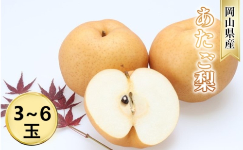 なし【2026年 先行予約】 梨 あたご梨 (3～6玉) 岡山県産 国産 フルーツ 果物 ギフト 1795104 - 岡山県高梁市