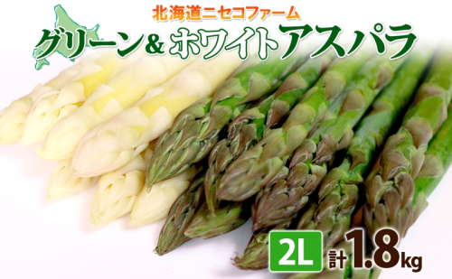 北海道産 アスパラガス グリーン ホワイト 2種 約900g×2 計1.8kg 2L サイズ 食べ比べ アスパラ 旬 朝採り 新鮮 お取り寄せ 産地直送 産直 野菜 農作物 詰め合わせ 国産 しりべしや ニセコファーム 1795544 - 北海道倶知安町