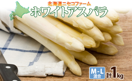 北海道産 アスパラガス ホワイト 約 1kg M - L サイズ 混合 アスパラ 旬 朝採り 新鮮 お取り寄せ 産地直送 産直 野菜 農作物 詰め合わせ 国産 北海道 倶知安町 1795547 - 北海道倶知安町